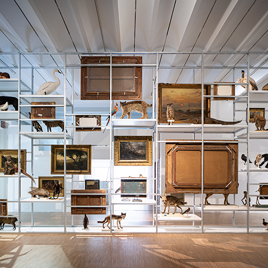 Grande étagère en métal servant de présentoir pour des animaux naturalisés et des toiles.