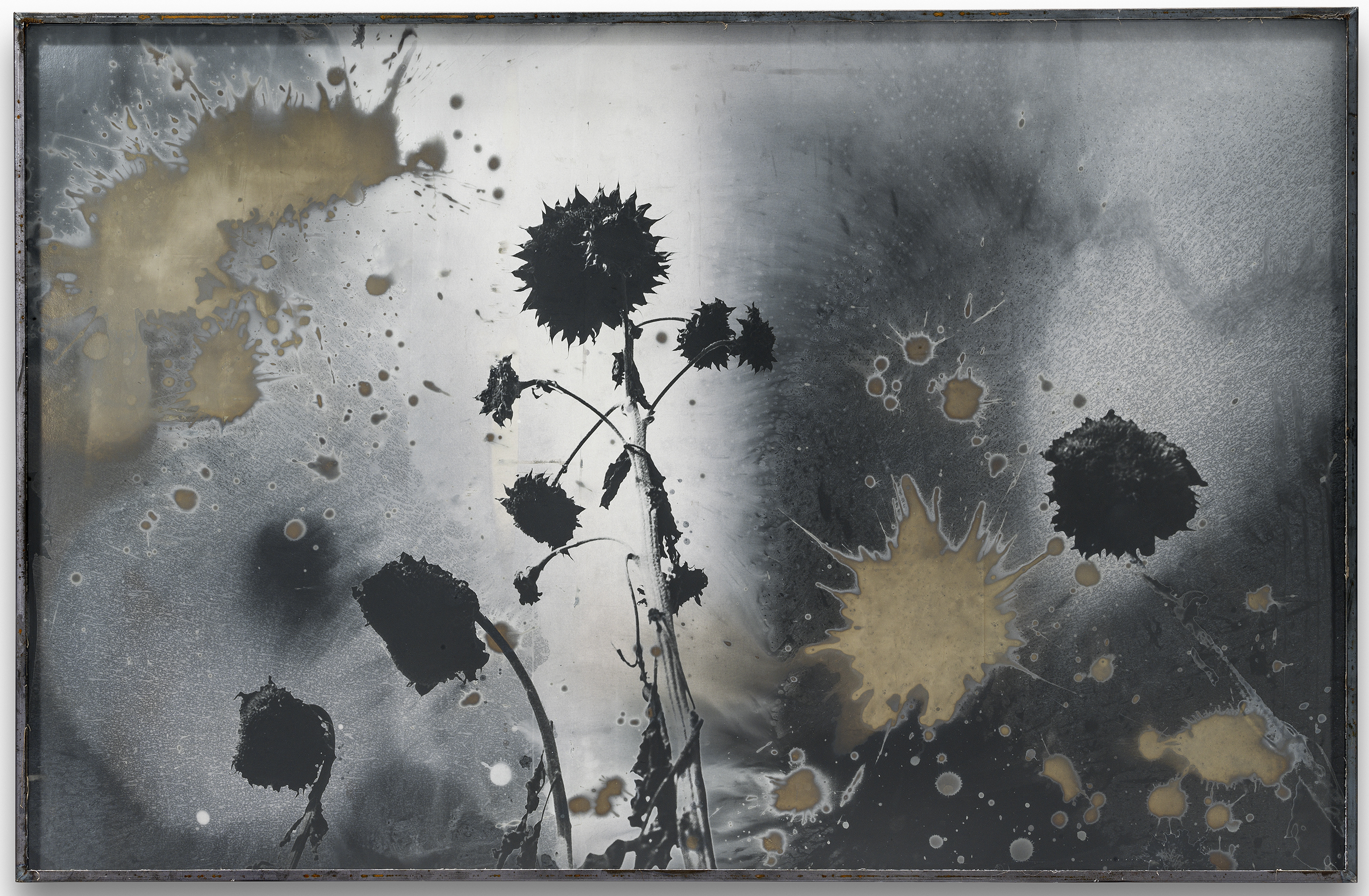 Anselm Kiefer, Sans titre, 2014. Émulsion argentique et technique mixte sur photographie ; 103,5 x 160,5 cm. © Anselm Kiefer. Photo : Charles Duprat