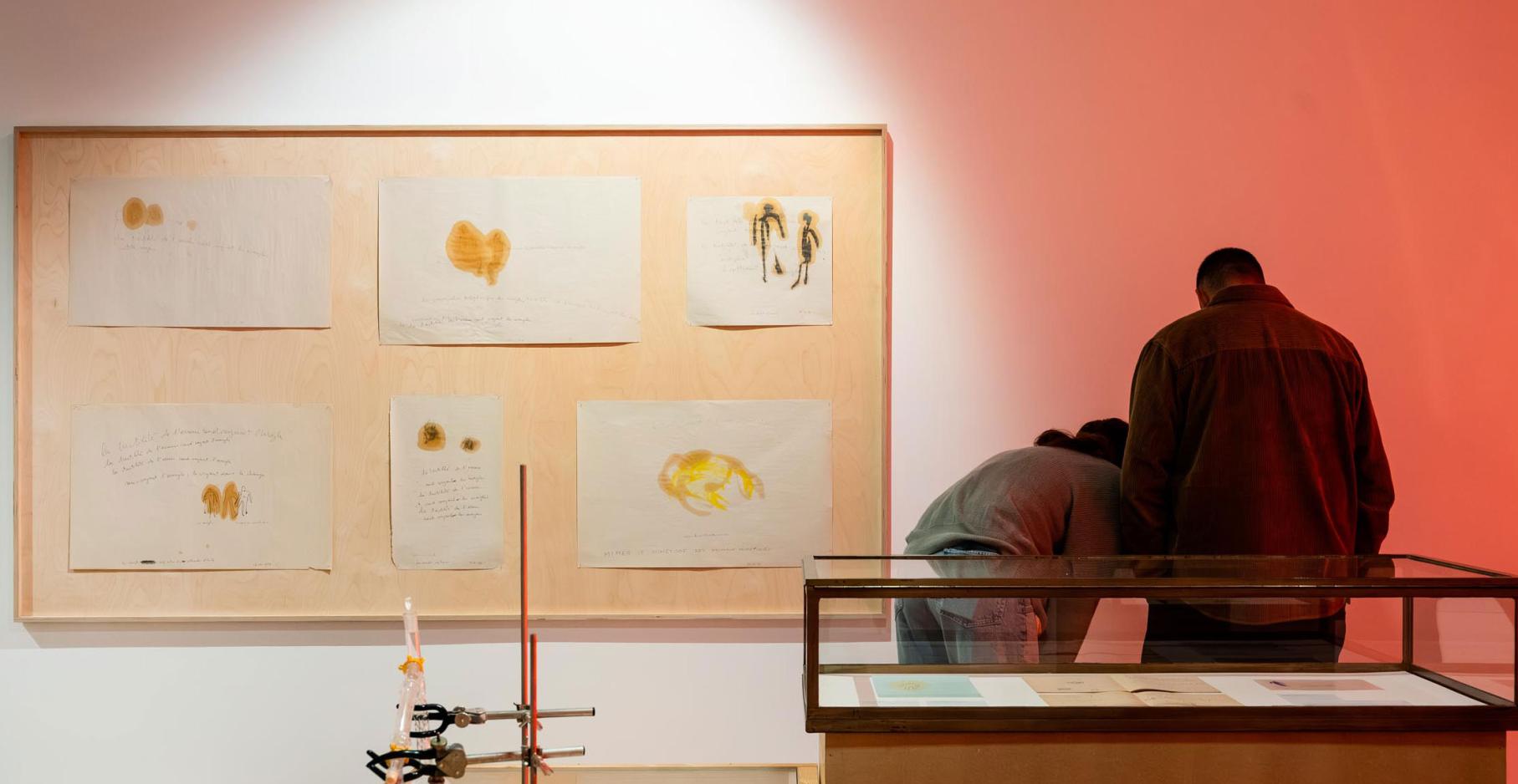 20250916_vernissage_etats_limites_FIovino093_BD.jpg