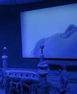 Exposition "Laure Prouvost. Deep See Blue Surrounding You"