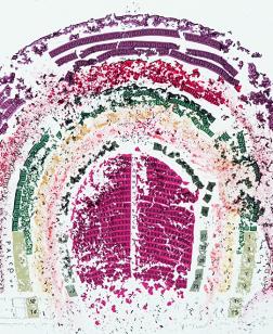 Guillermo Kuitca, œuvre coloré, collage.