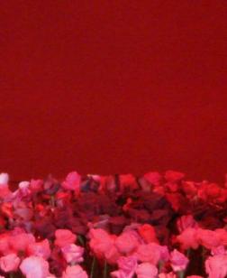Salle d'exposition rouge avec un cercle de fleurs au centre.