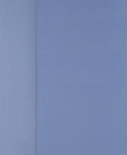 Toile bleu.