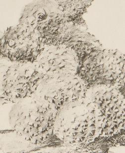 Dessin en noir et blanc.