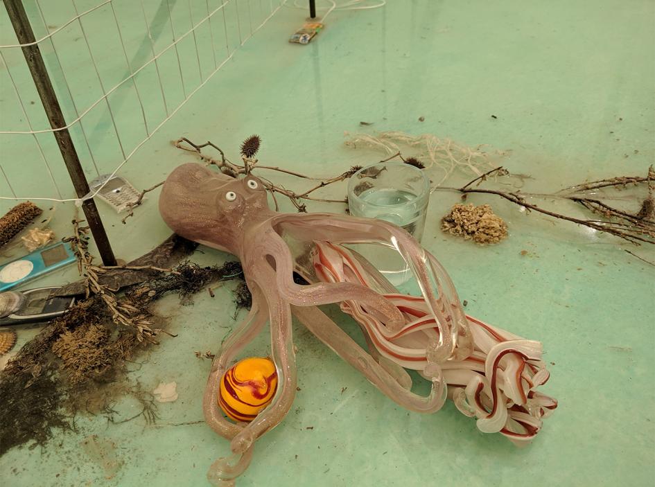 Exposition "Laure Prouvost", poulpe.
