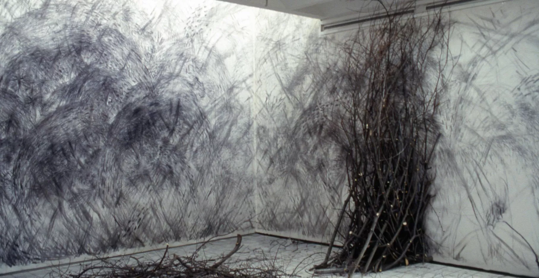 Photographie installation.
