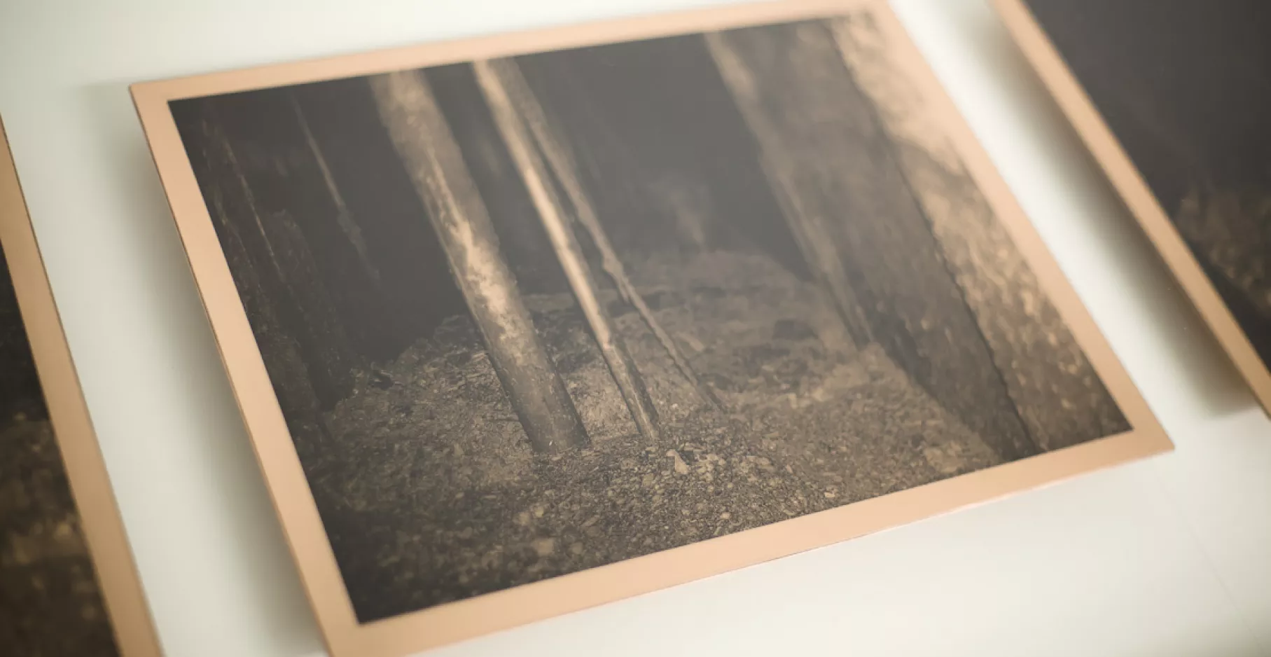 Photographie de Dove Allouche en noir et blanc.