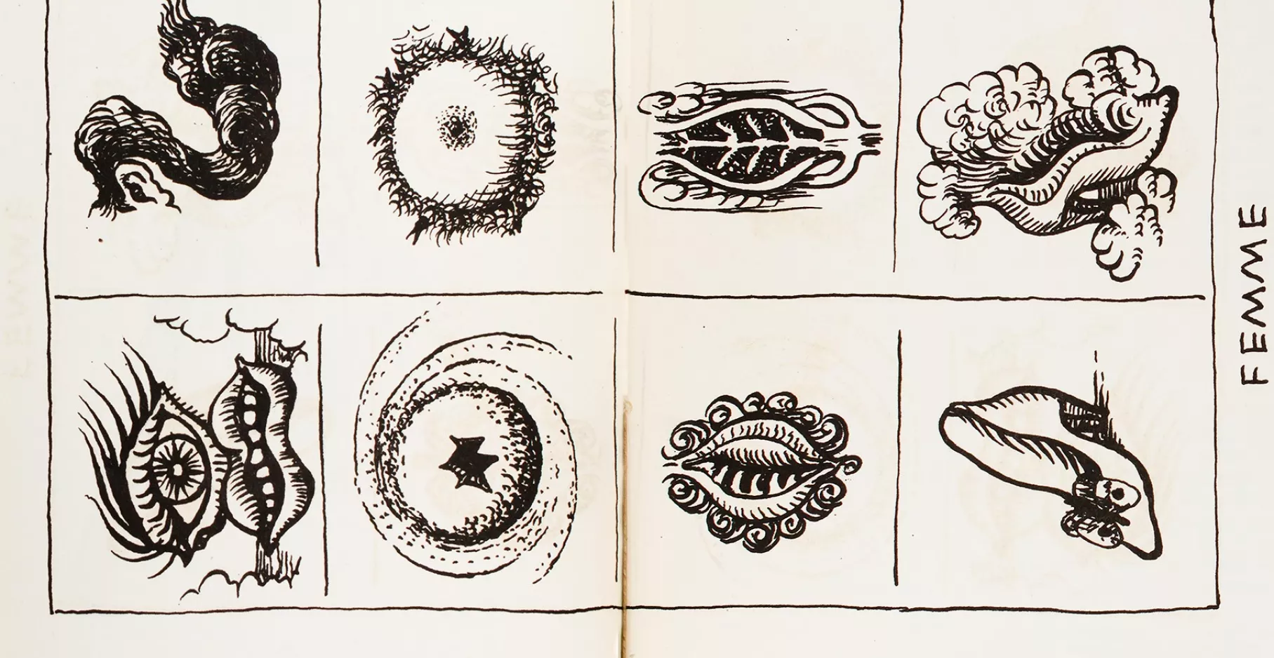 Dessin en noir et blanc dans un livre.