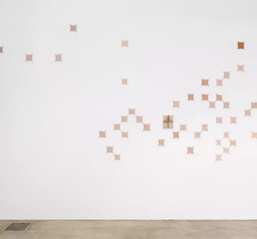 A propos de l'expo