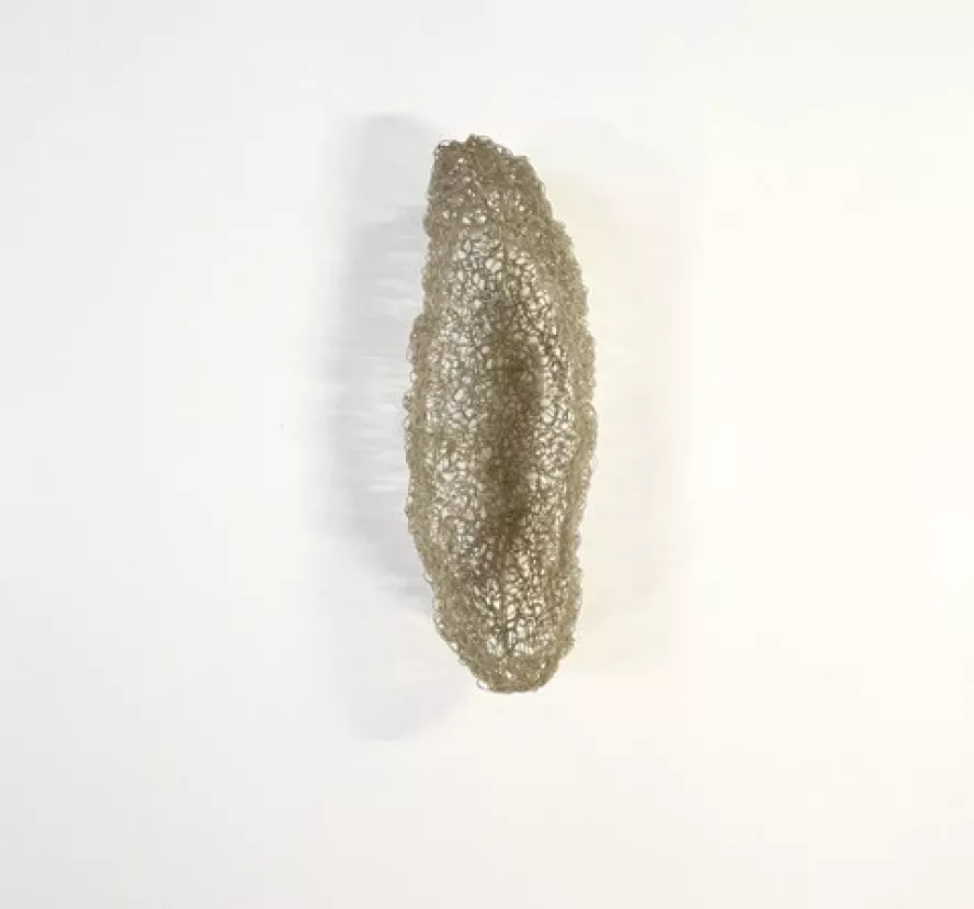 A propos de l'expo